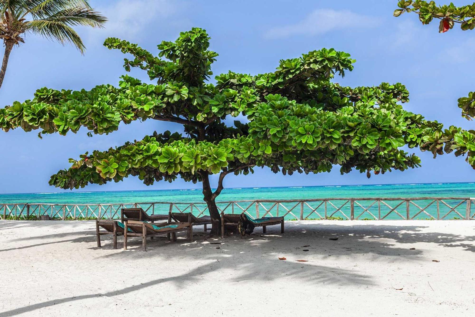 Vrclub Paje Palms Beach Resort Buitenkant foto